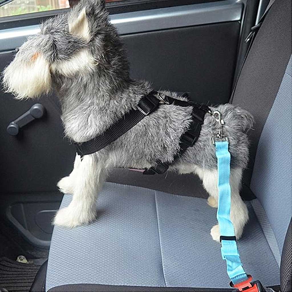 Cinturón de coche para perros, universal, clip giratorio, 8 colores