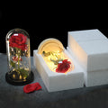 Rose éternelle, rose conservée dans un dôme de verre, avec lumière
