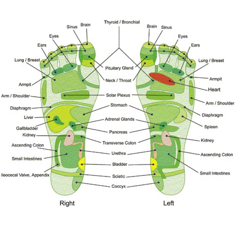 Zapatillas masajeadoras, reflexologia, 82 puntos de presión - Bavalu