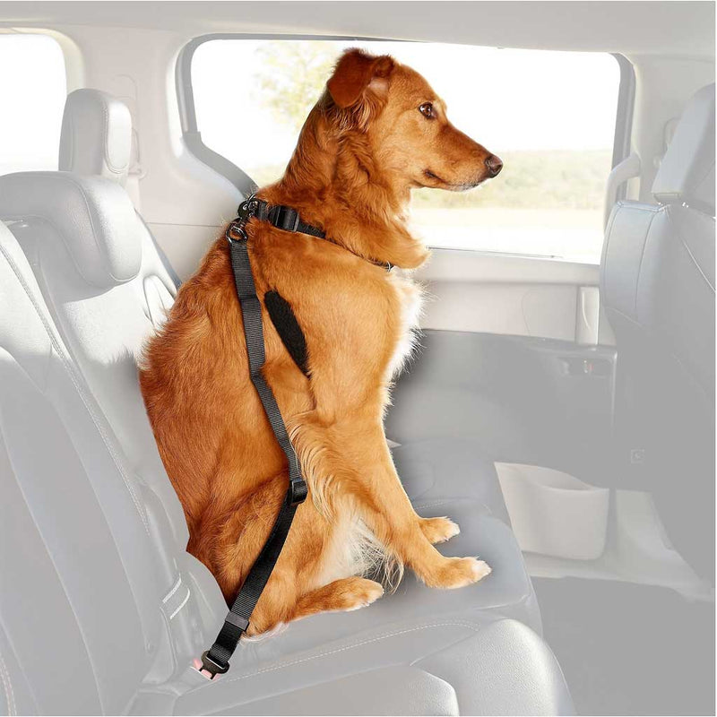 Cinturón de coche para perros