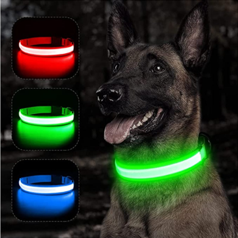 Luminous dog collar, LED, USB rechargeable, various colors and sizes