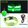 Collar luminoso perro, LED, USB recargable, varios colores y tallas