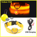 Luminous dog collar, LED, USB rechargeable, various colors and sizes