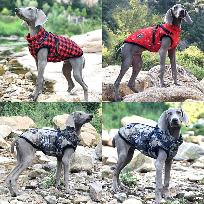 Dog Coat, waterproof, with harness, various volors and sizes