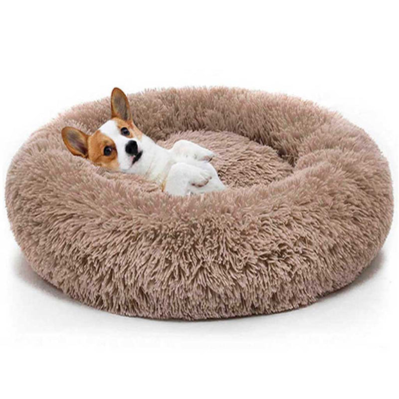 Mascotas: así es la cama antiestrés que tu perro necesita