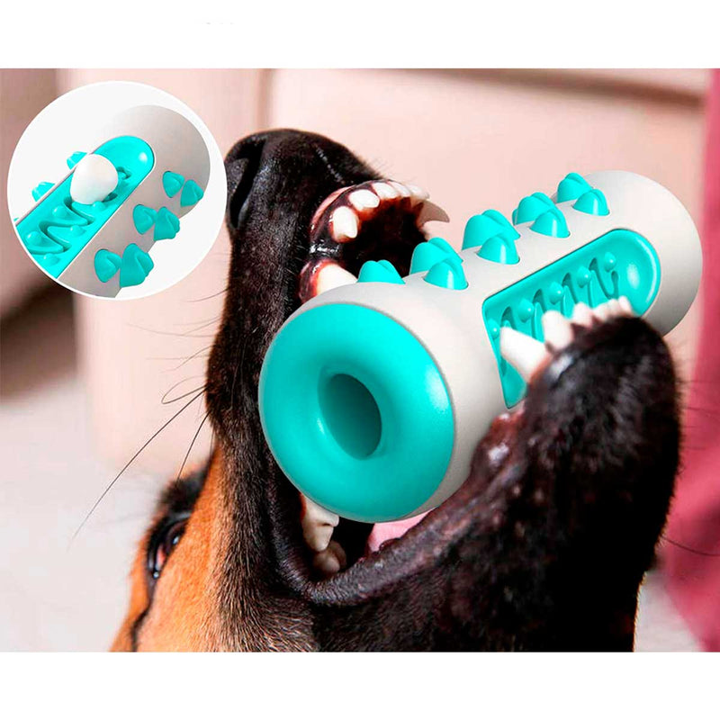Toothbrush for dogs, dental cleaning, ultra resistant