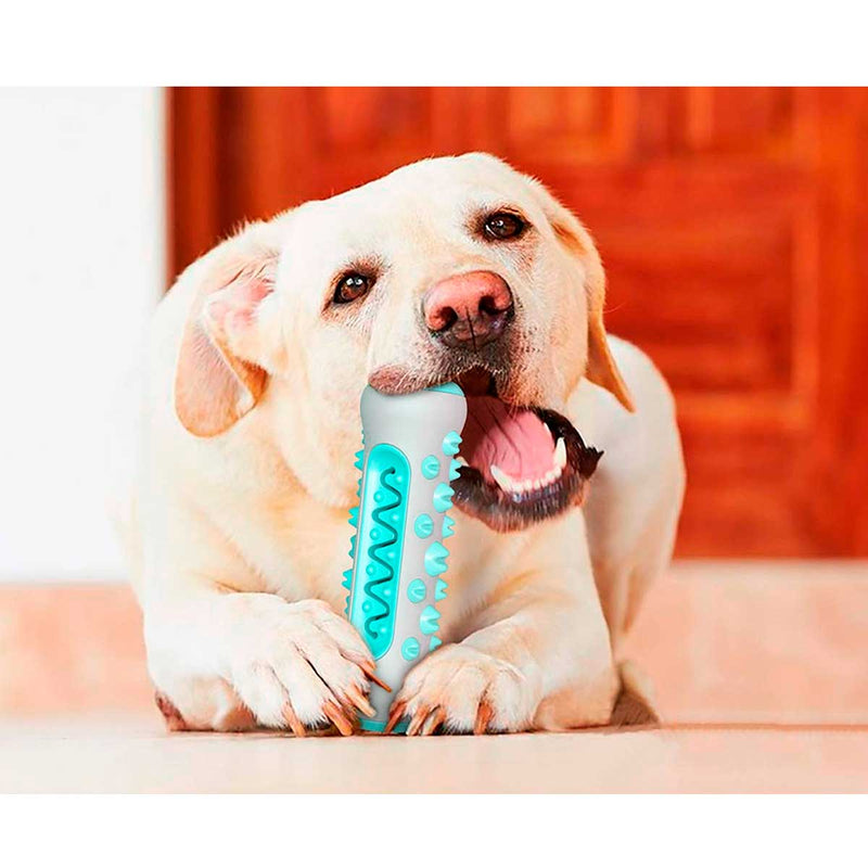 Cepillo de dientes para perros, limpieza dental, ultra resistente