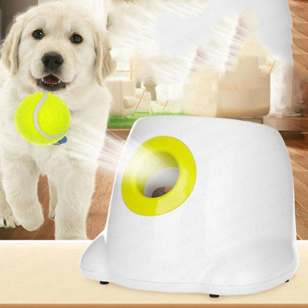 BLELEYLL Lanzador automático de pelotas para perros con 6 pelotas (2 p –  Digvice