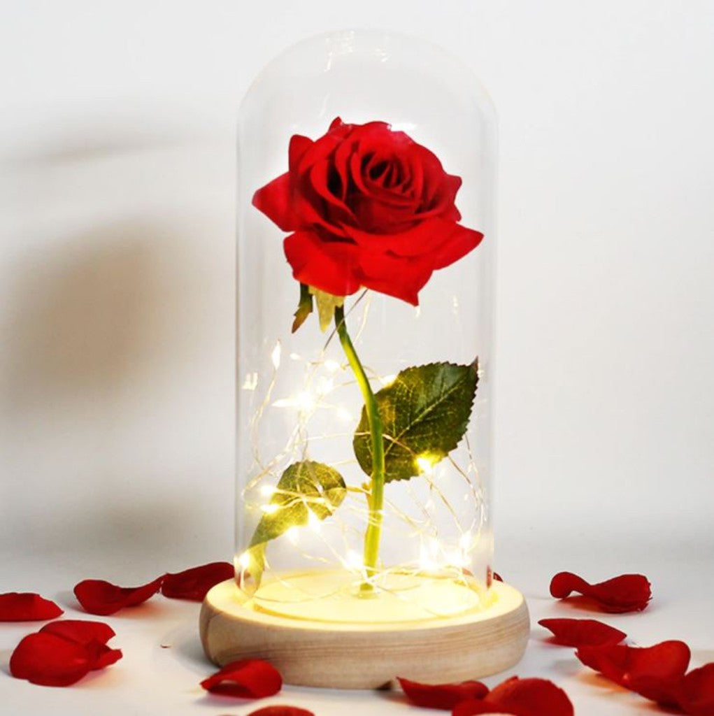 Rosa eterna, rosa preservada en cúpula de cristal, con luz